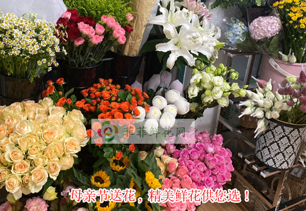 2024合肥经济开发区母亲节送花,合肥经济开发区精美鲜花供您选!